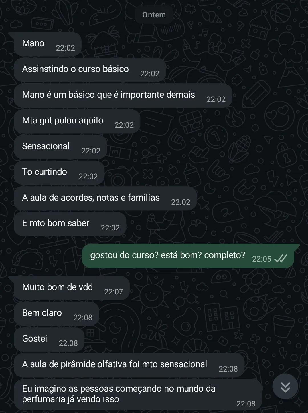 Depoimento de aluno, print de conversa